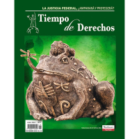 El amparo frente al poder: una línea que no debió cruzarse.